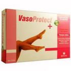 Vasoprotect (Circulatory) 20Amp.x15Ml.