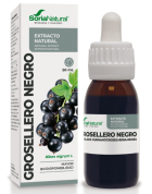 Blackcurrant Natural Extract 50 ml