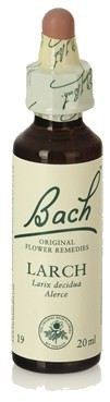 Original Flower Essences Bach 19 Larch 20 ml
