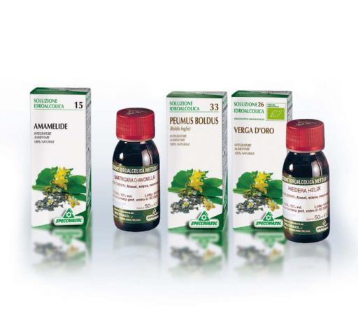 Angelica (Angelica Archangelica) 50 ml