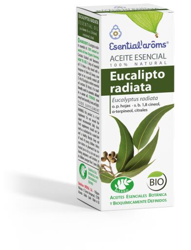 Eucalyptus Radiata Essential Oil 10 ml