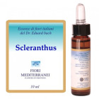 Fm 28 Sclerantus 10 ml