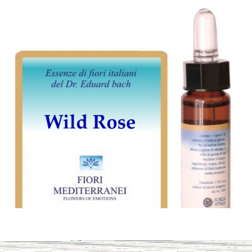 Fm 37 Wilde Rose 10 ml