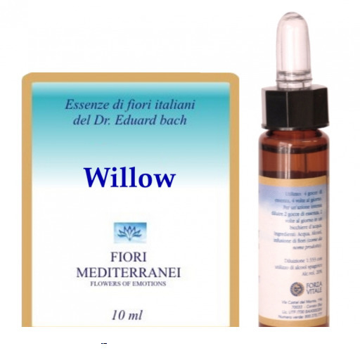 Fm 38 Willow 10 ml