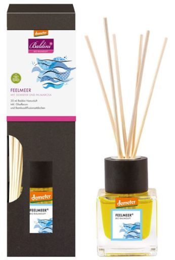 Mikado Mar with pine and palmarosa New format 100 ml