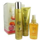 Argabeta Up Coloured Kit Shampoo + Mask + Serum