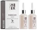 Care Sun Purifying Complex Ampoules 2 x 30 ml