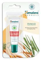 Lip Balm Cream 10 gr