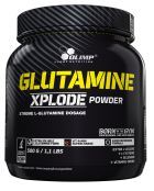 Glutamine Xplode 500 gr