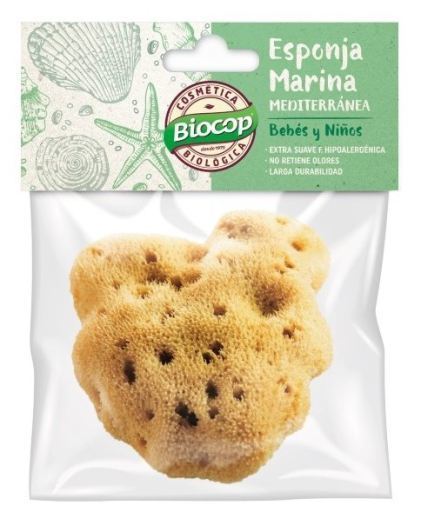 Mediterranean Sea Sponge for Children