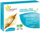 Turmeric Devil's Claw Horsetail Bio 40 capsules