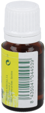 Eucalyptus Essential Oil 10 ml