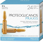 Praxis Laboratories Proteoglycans Ampoules 24 x 2 ml Praxis Laboratories Proteoglycans Ampoules 24 x 2 ml