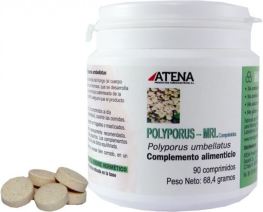 Atena Polyporus Mrl 500 mgr 90 Tablets
