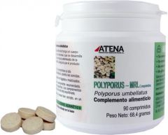 Polyporus Mrl 500 mgr 90 Tablets