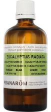 Eucalyptus Radiata Essential Oil