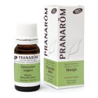 Organic Fennel Essential Oil 10 ml Organic Fennel Essential Oil 10 ml