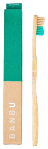 Medium Adult Toothbrush Green 1 Unit