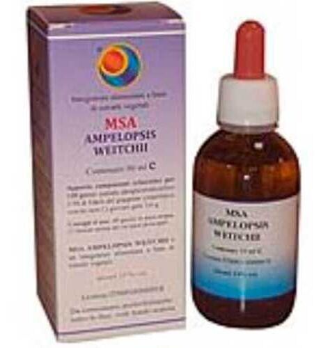 Herboplanet Msa Betula Pubencens Buds 50 ml