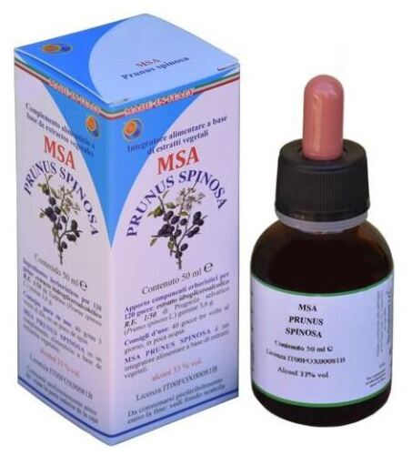 Herboplanet Msa Prunus Spinosa Buds 50 ml