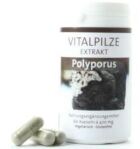 Polyporus 60 Capsules Polyporus 60 Capsules
