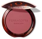 Terracotta Blush Good Face Effect Blush 1 Unit