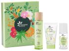 Eau Des Délices Verbena & Bergamot 3 Piece Gift Set Eau Des Délices Verbena & Bergamot 3 Piece Gift Set